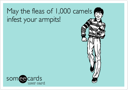 May the fleas of 1,000 camels
infest your armpits!