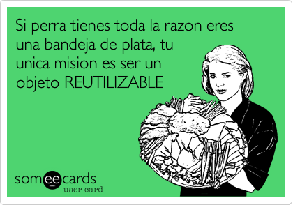 Si perra tienes toda la razon eres una bandeja de plata, tu
unica mision es ser un
objeto REUTILIZABLE