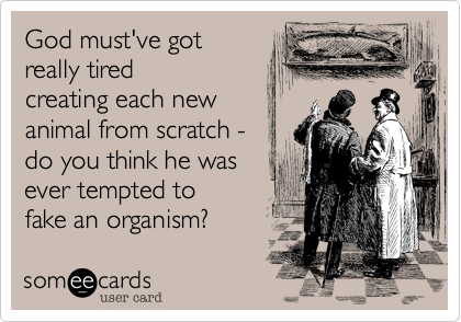 God must've got
really tired
creating each new
animal from scratch - 
do you think he was
ever tempted to 
fake an organism?