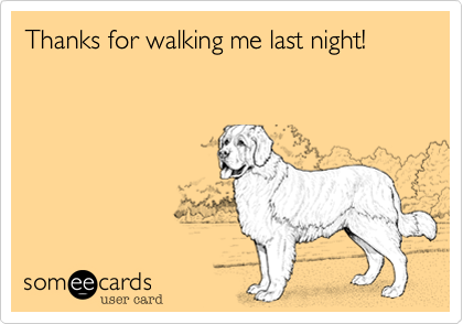 Thanks for walking me last night! 