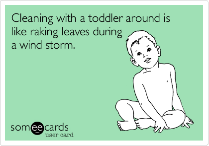 Cleaning with a toddler around is like raking leaves during
a wind storm.