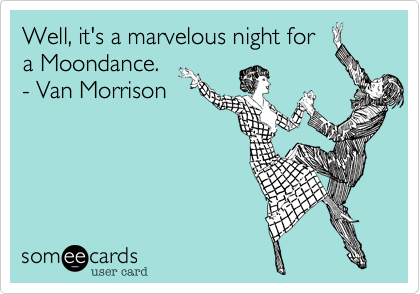 Well, it's a marvelous night for
a Moondance. 
- Van Morrison