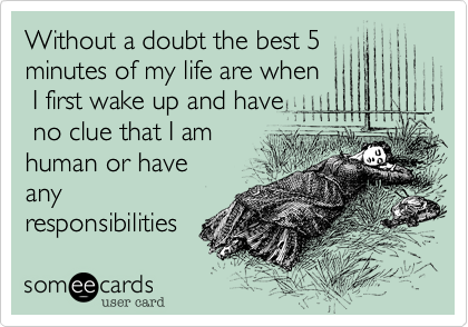 Without a doubt the best 5 minutes of my life are when I first wake up and have no clue that I am human or haveanyresponsibilities