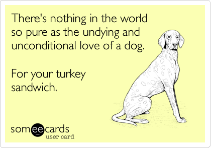 There's nothing in the world
so pure as the undying and
unconditional love of a dog.

For your turkey
sandwich.