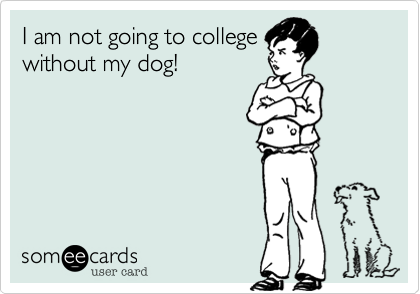 I am not going to collegewithout my dog!
