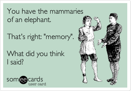 You have the mammaries
of an elephant.

That's right: "memory".

What did you think
I said?