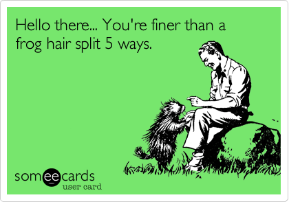 Hello there... You're finer than a frog hair split 5 ways.