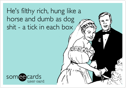 He's filthy rich, hung like a
horse and dumb as dog
shit - a tick in each box