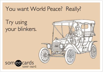 You want World Peace?  Really?

Try using
your blinkers.