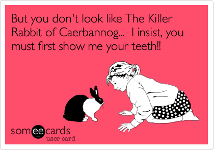 But you don't look like The Killer Rabbit of Caerbannog...  I insist, you must first show me your teeth!!