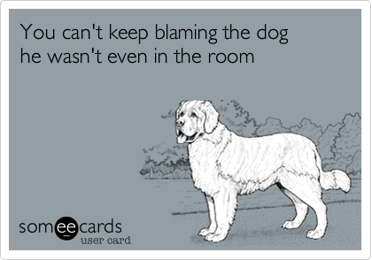 You can't keep blaming the dog
he wasn't even in the room