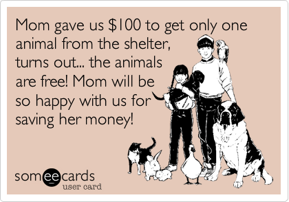 Mom gave us $100 to get only one animal from the shelter,turns out... the animalsare free! Mom will beso happy with us forsaving her money!