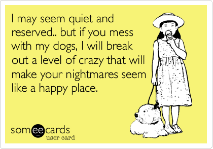 I may seem quiet and
reserved.. but if you mess
with my dogs, I will break
out a level of crazy that will
make your nightmares seem
like a happy place.