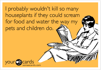 I probably wouldn't kill so many houseplants if they could scream for food and water the way my pets and children do.