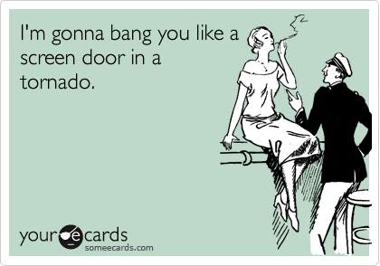 I'm gonna bang you like a
screen door in a
tornado.