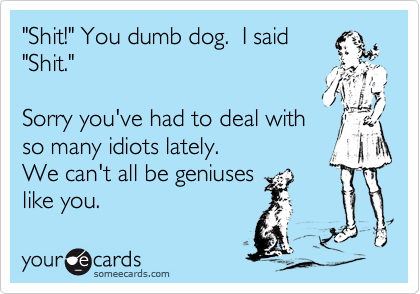 "Shit!" You dumb dog.  I said 
"Shit."

Sorry you've had to deal with
so many idiots lately.  
We can't all be geniuses
like you.
