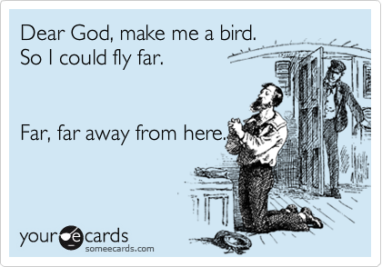 Dear God, make me a bird. 
So I could fly far. 


Far, far away from here.

