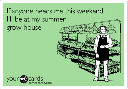If anyone needs me this weekend, I'll be at my summer
grow house.