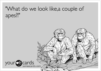 "What do we look like,a couple of apes?!"