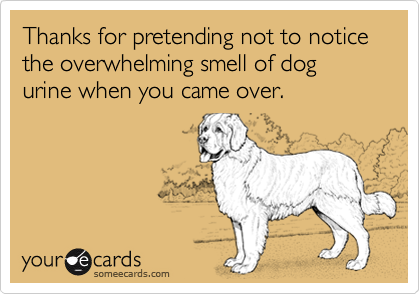 Thanks for pretending not to notice the overwhelming smell of dog urine when you came over.