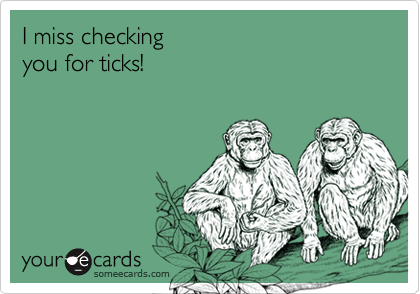 I miss checking 
you for ticks!