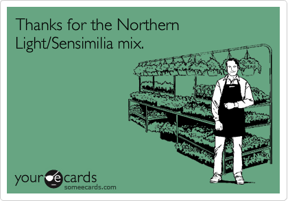 Thanks for the Northern Light/Sensimilia mix.