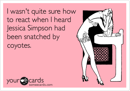 I wasn't quite sure how
to react when I heard
Jessica Simpson had
been snatched by
coyotes.