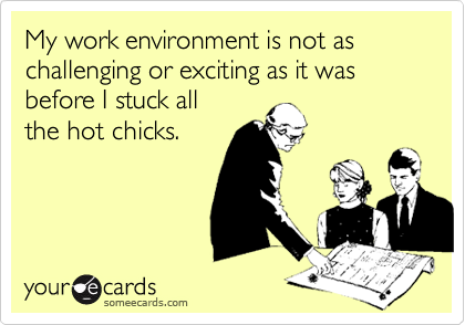 My work environment is not as challenging or exciting as it was before I stuck all
the hot chicks.