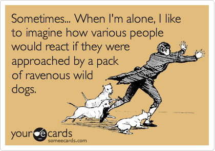 Sometimes... When I'm alone, I like to imagine how various people would react if they were
approached by a pack
of ravenous wild
dogs.