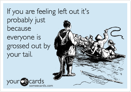 If you are feeling left out it's probably just
because
everyone is
grossed out by
your tail.
