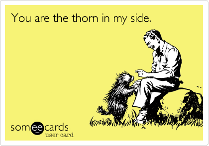 You are the thorn in my side.