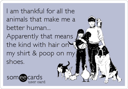 I am thankful for all the
animals that make me a
better human...
Apparently that means
the kind with hair on
my shirt & poop on my
shoes.