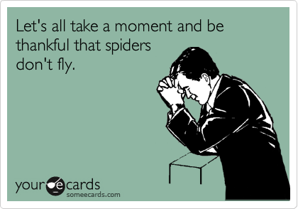 Let's all take a moment and be thankful that spiders
don't fly.