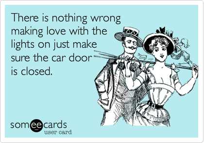 There is nothing wrong
making love with the
lights on just make
sure the car door
is closed.
