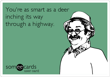 You're as smart as a deer
inching its way
through a highway.
