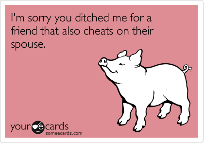 I'm sorry you ditched me for a friend that also cheats on their spouse.