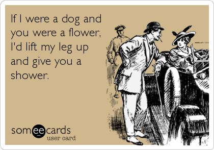 If I were a dog and
you were a flower,
I'd lift my leg up
and give you a
shower.