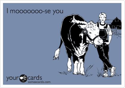 I mooooooo-se you