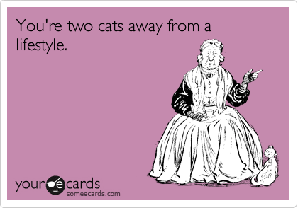 You're two cats away from a lifestyle. 