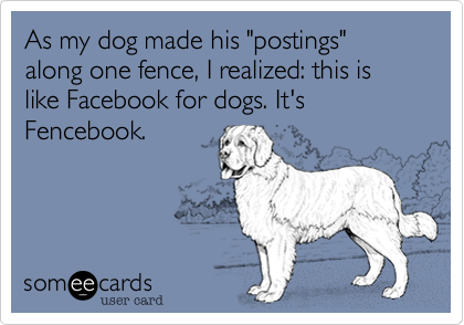As my dog made his "postings" along one fence%2C I realized%3A this is like Facebook for dogs. It's Fencebook.