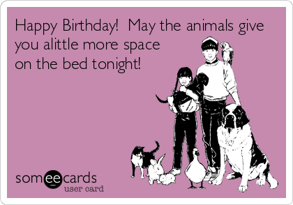 Happy Birthday!  May the animals give
you alittle more space
on the bed tonight!