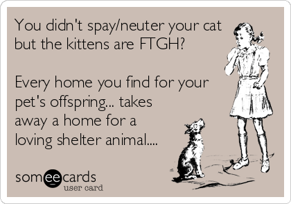 You didn't spay/neuter your cat
but the kittens are FTGH?

Every home you find for your
pet's offspring... takes
away a home for a
loving shelter animal....