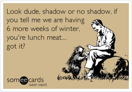 Look dude, shadow or no shadow, if
you tell me we are having
6 more weeks of winter,
you're lunch meat....
got it?