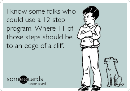 I know some folks who
could use a 12 step
program. Where 11 of
those steps should be
to an edge of a cliff.