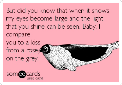 But did you know that when it snows
my eyes become large and the light
that you shine can be seen. Baby, I
compare
you to a kiss
from a rose
on the grey.