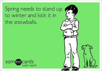 Spring needs to stand up
to winter and kick it in
the snowballs.