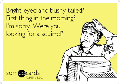 Bright-eyed and bushy-tailed?
First thing in the morning?
I'm sorry. Were you
looking for a squirrel?