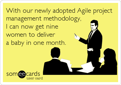 With our newly adopted Agile project
management methodology,
I can now get nine
women to deliver
a baby in one month.
