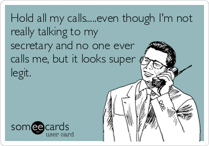 Hold all my calls.....even though I'm not
really talking to my
secretary and no one ever
calls me, but it looks super
legit.