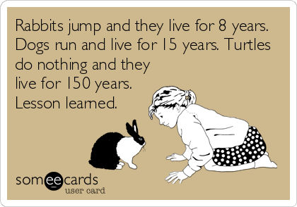 Rabbits jump and they live for 8 years.
Dogs run and live for 15 years. Turtles
do nothing and they
live for 150 years.
Lesson learned.